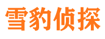 鲤城市私家侦探